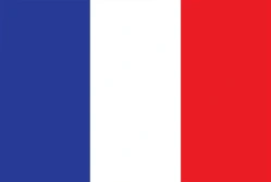 Switch to French