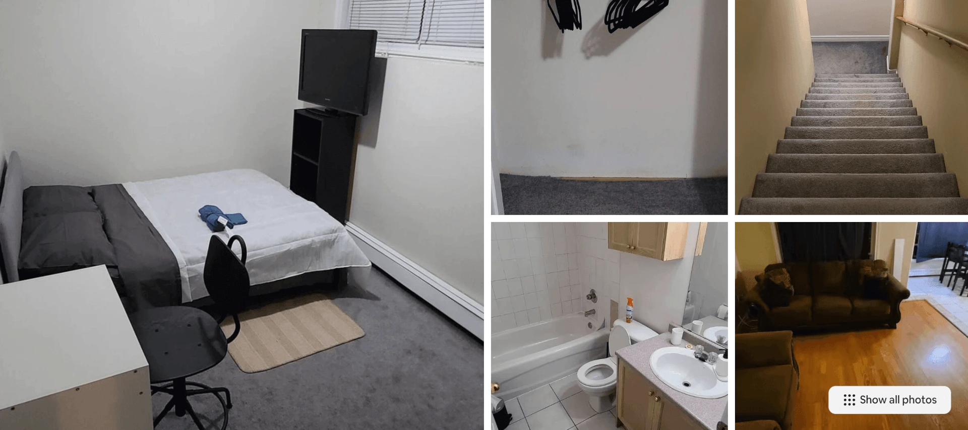 Magnifying glass icon to view the Airbnb listing address that had the mice incident